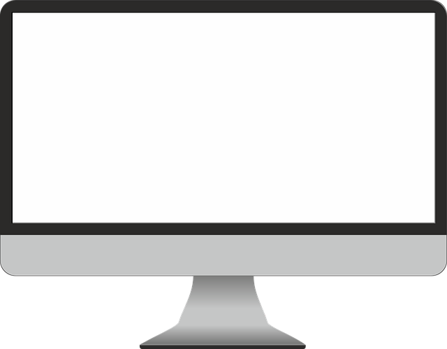 monitor